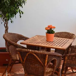 https://mirafondo.puertodelcarmen-hotels.org