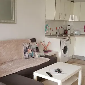 https://paradise-club.puertodelcarmen-hotels.org