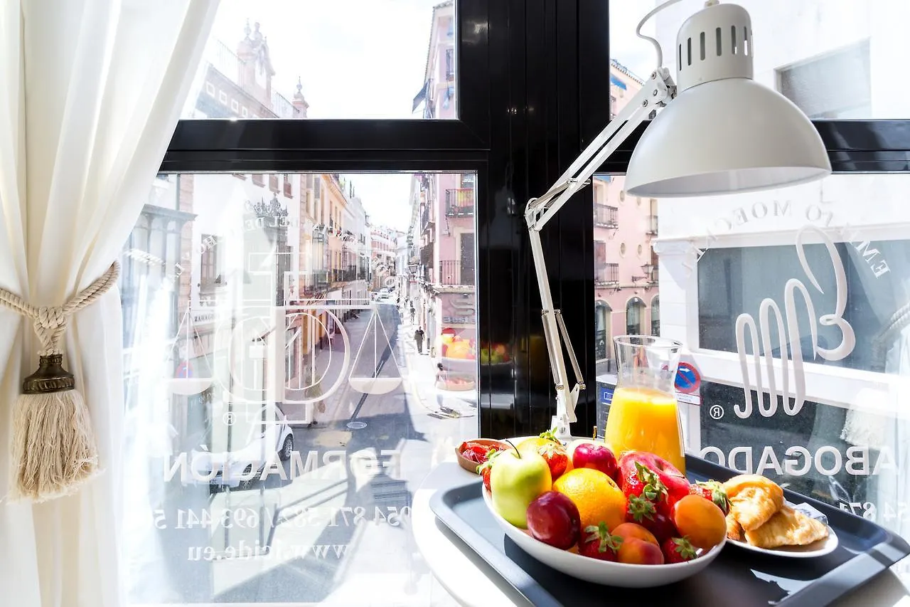 Bohemian & Suites Panoramic -Parking Seville Apartment